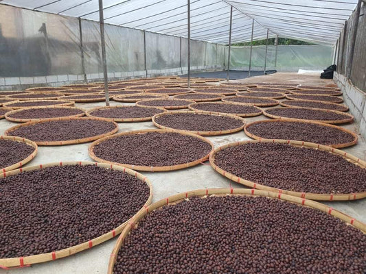 Kinnari - Thailand Mae Chedi