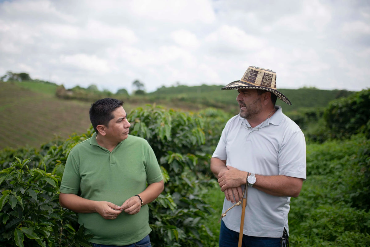 Colombia - Finca Milan April